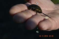 sm_DSC_0033