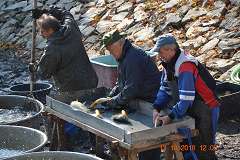 sm_DSC_0054